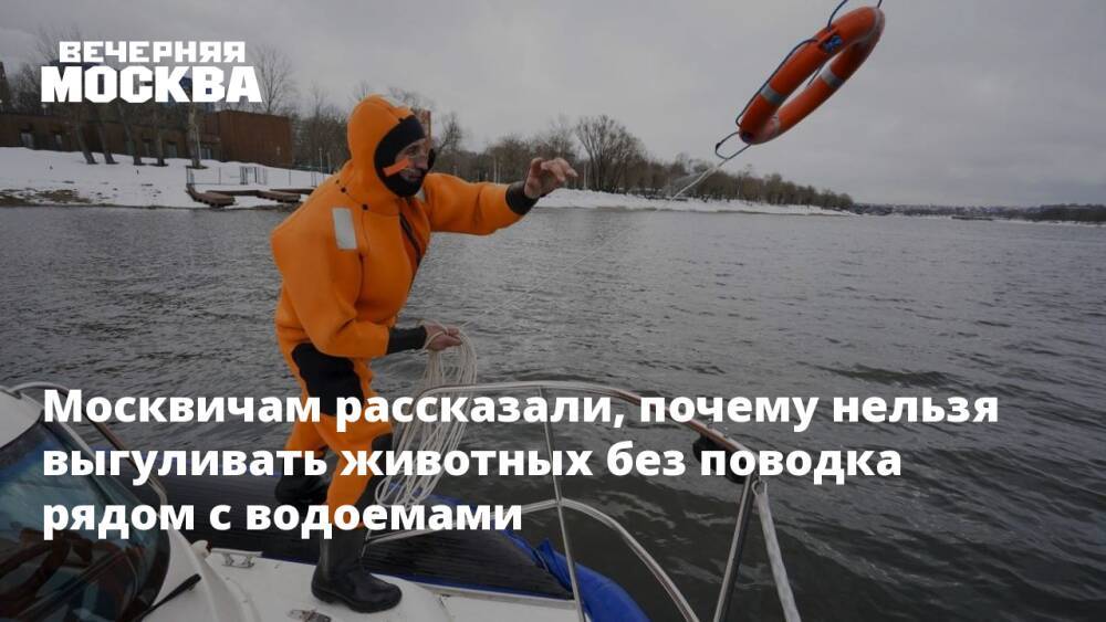 Москвичам рассказали, почему нельзя выгуливать животных без поводка рядом с водоемами
