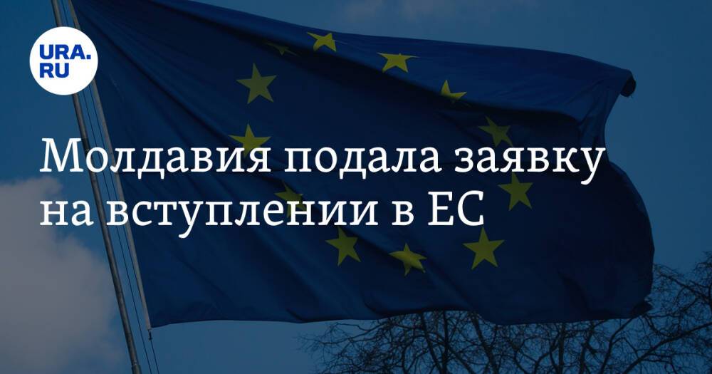 Молдавия подала заявку на вступлении в ЕС