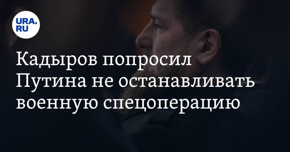 Кадыров попросил Путина не останавливать военную спецоперацию