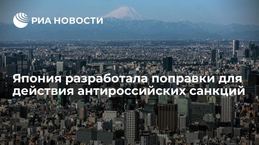 Япония разработала поправки, чтобы не допустить вывода российских активов из-под санкций