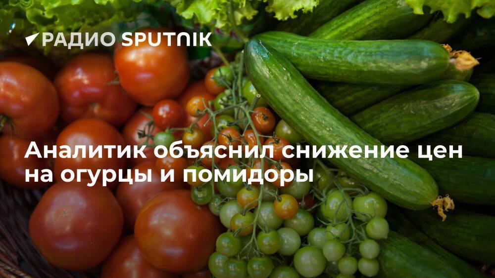 Аналитик объяснил снижение цен на огурцы и помидоры
