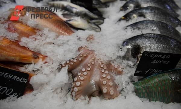 Пятиэтажный рыбный рынок возведут во Владивостоке