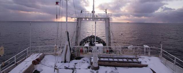 В порту Далянь КНР приостановят приём рыбы с 6 марта из-за коронавируса