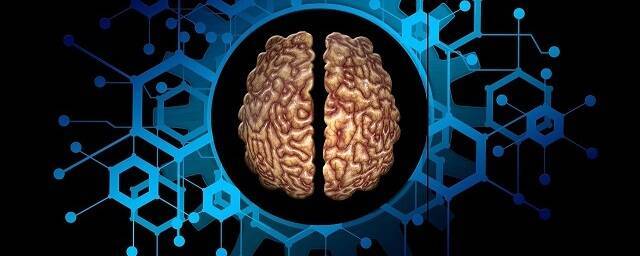 Мозг человека стирает воспоминания во время усваивания новой информации