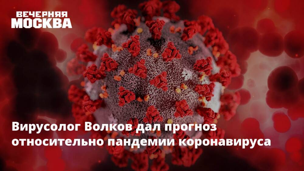 Вирусолог Волков дал прогноз относительно пандемии коронавируса