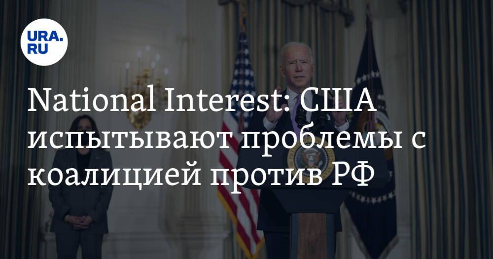 National Interest: США испытывают проблемы с коалицией против РФ