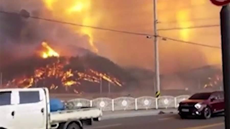 Крупный пожар подобрался к АЭС в Южной Корее