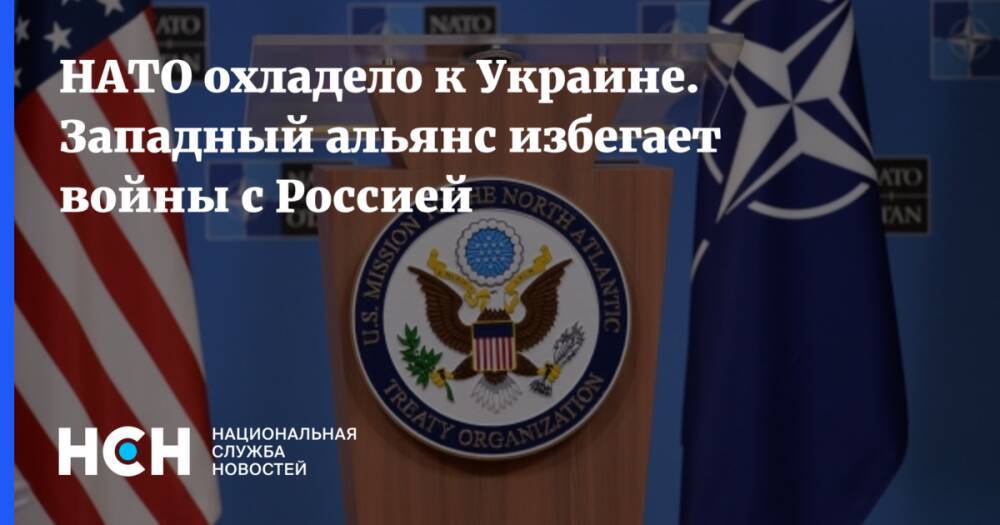 НАТО охладело к Украине. Западный альянс избегает войны с Россией