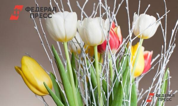 Где купить тюльпаны к 8 Марта во Владивостоке: цены и адреса