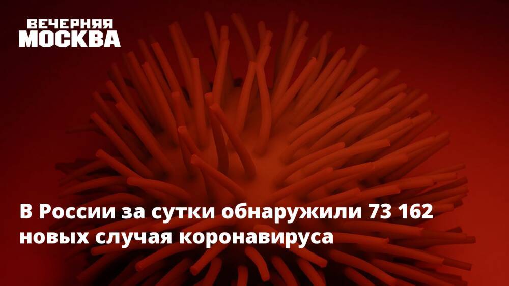 В России за сутки обнаружили 73 162 новых случая коронавируса