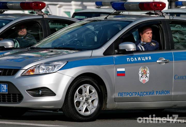 В Петербурге задержали мужчину, который напал на кладовщика около станции метро