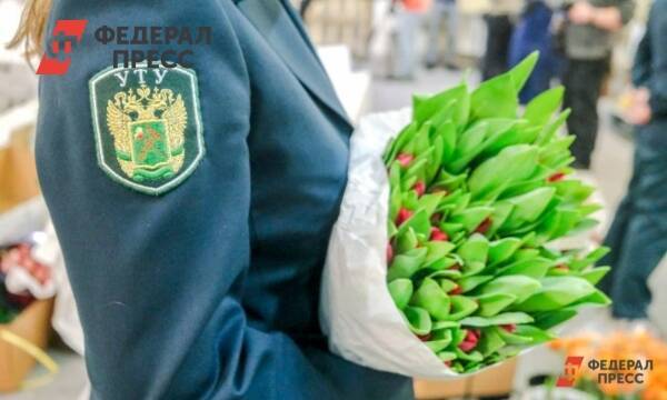 Где на Южном Урале купить свежие тюльпаны: подсказка для мужчин