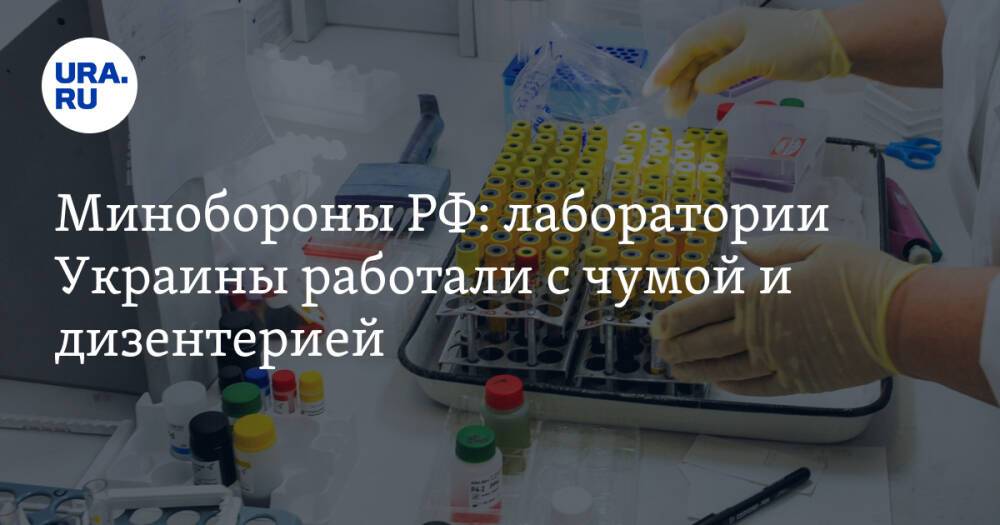 Минобороны РФ: лаборатории Украины работали с чумой и дизентерией