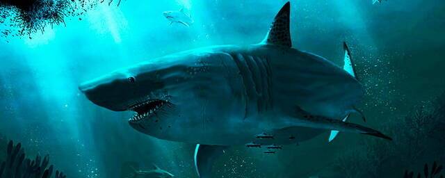 Палеонтологи выяснили: самые крупные доисторические акулы жили в холодных регионах Земли