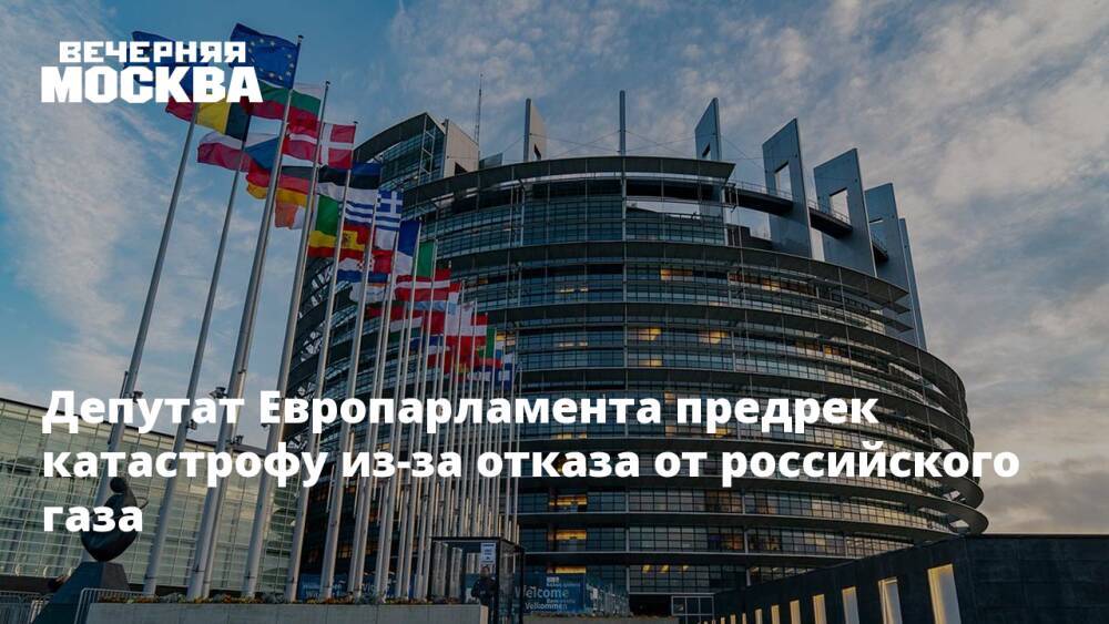 Депутат Европарламента предрек катастрофу из-за отказа от российского газа