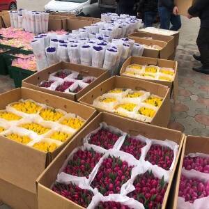 В Энергодаре планируют подарить женщинам 35 тыс. цветов, которые вырастили в теплицах. Фото