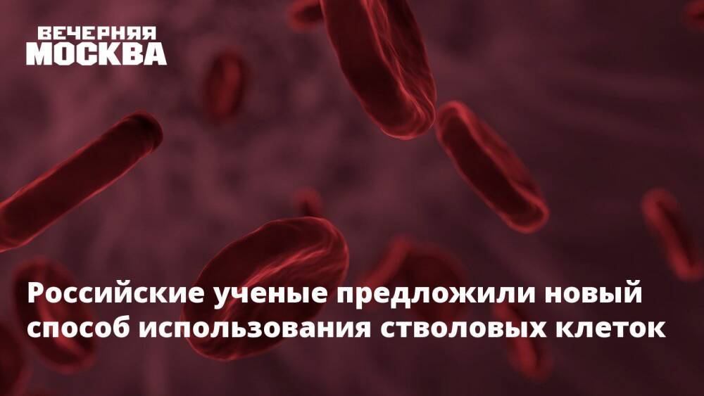 Российские ученые предложили новый способ использования стволовых клеток