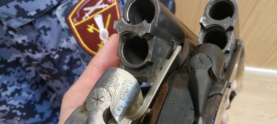 Полицейские изъяли у жителей Карелии 12 единиц оружия и около 2 килограммов взрывчатых веществ