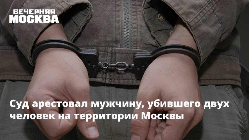 Суд арестовал мужчину, убившего двух человек на территории Москвы