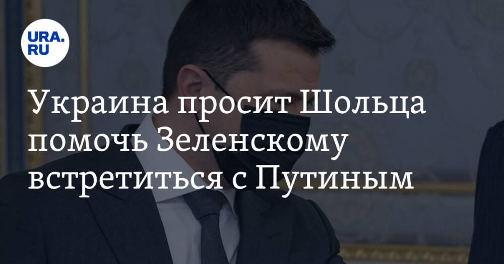 Украина просит Шольца помочь Зеленскому встретиться с Путиным