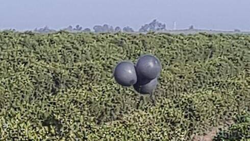 Связка черных шаров вызвала переполох в Израиле: что случилось на самом деле