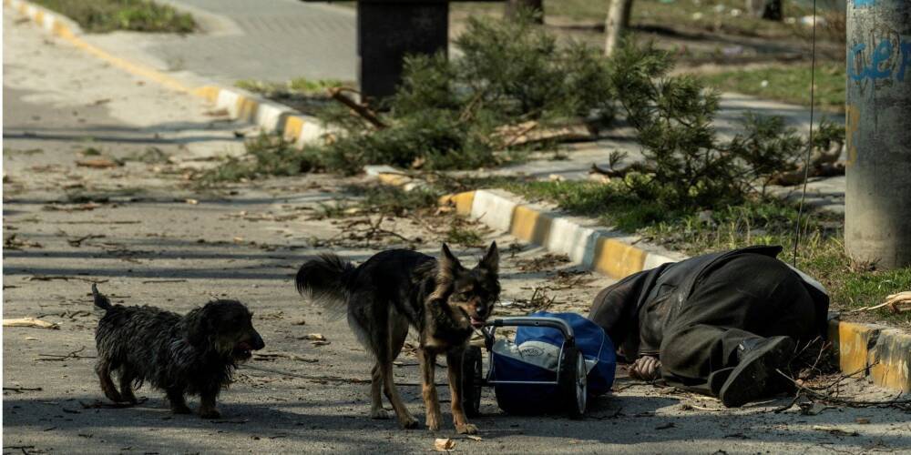 «Насилуют детей, едят собак». В СБУ рассказали о тысячах перехваченных разговоров оккупантов и совершенных ими зверствах в Украине
