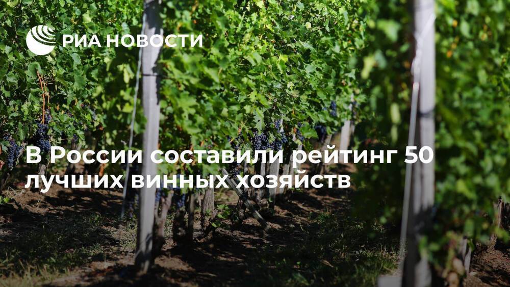 Ведущие сомелье и рестораторы составили рейтинг 50 лучших винных хозяйств в России