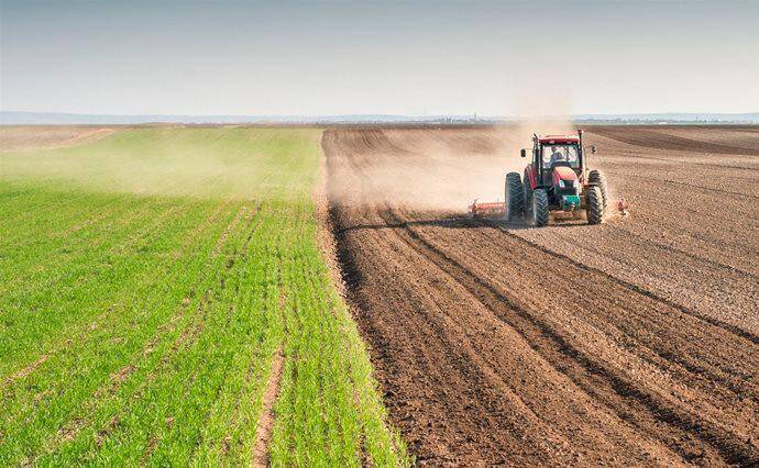 Около 200 тыс. украинских гектаров обрабатывают компании, связанные с РФ и Беларусью