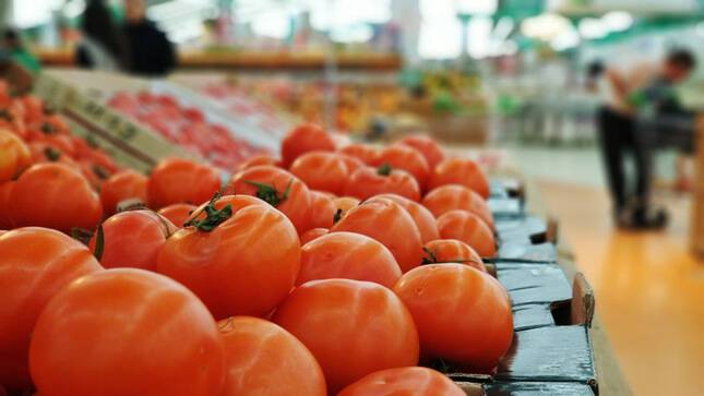 Россия увеличила квоту на поставку помидоров из Турции