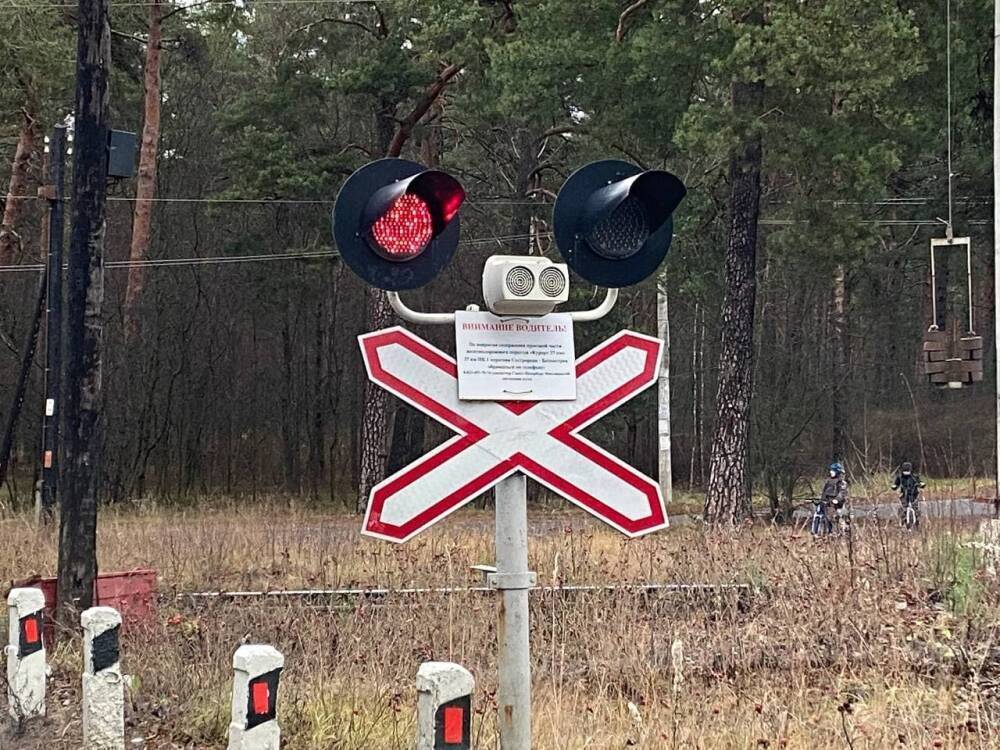 «Коммерсант»: Тысяча российских вагонов из-за санкций застряли в Литве на пути в Калининград