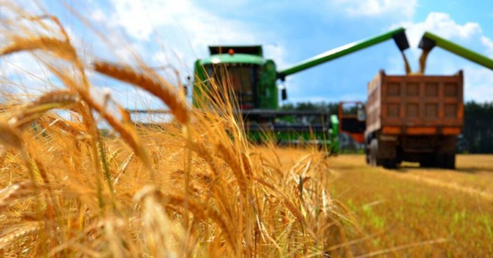 Пшеницы и подсолнечника не будет: в Украине около 30% полей непригодны для посевов, – ООН