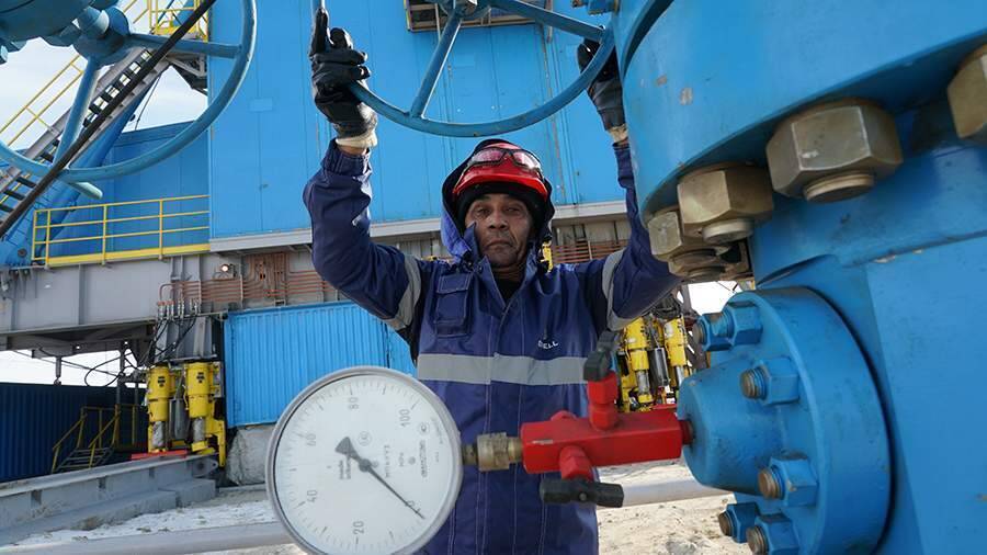 Социальная ассоциация ФРГ выступила против эмбарго на газ из РФ