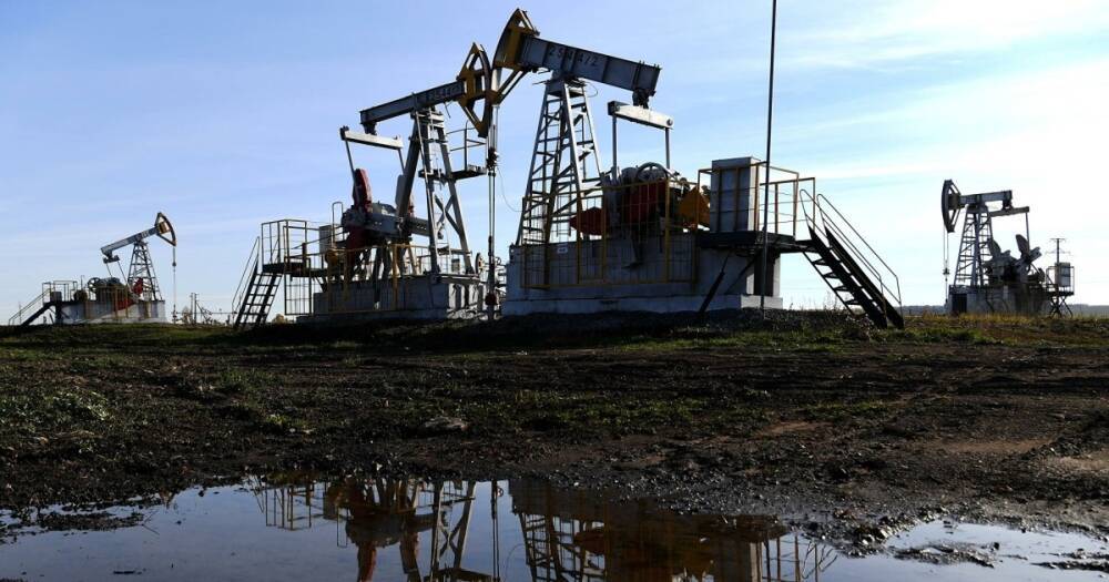 Европа впервые за два года получит нефть из ОАЭ, — Reuters