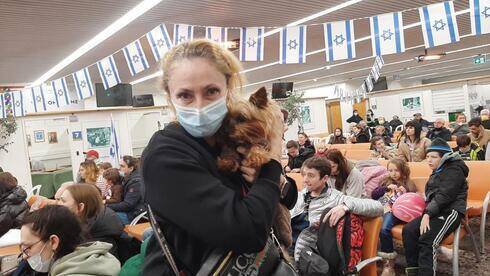 Израиль принял более 15.000 репатриантов с начала войны в Украине