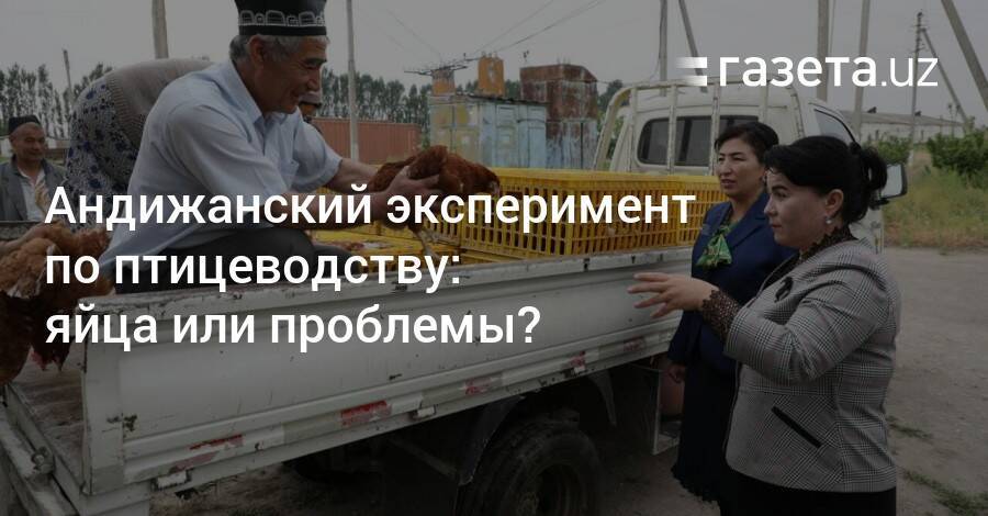 Андижанский эксперимент по птицеводству: яйца или проблемы?