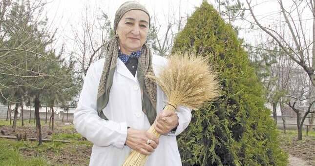 Зебинисо Ишанова - невидимый герой пшеничных полей