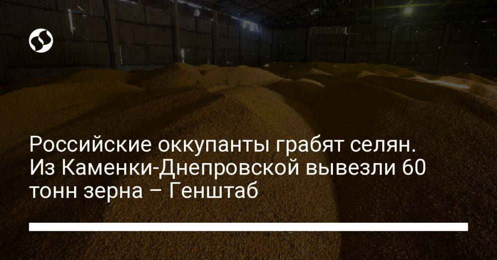 Российские оккупанты грабят селян. Из Каменки-Днепровской вывезли 60 тонн зерна – Генштаб