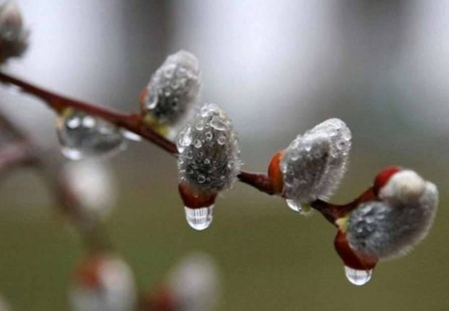 В Украине грядет серьезное похолодание – какой погоды ждать в ближайшие пару суток
