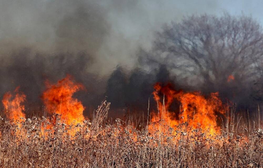 В Тверской области объявлена дата начала пожароопасного сезона - 10 апреля