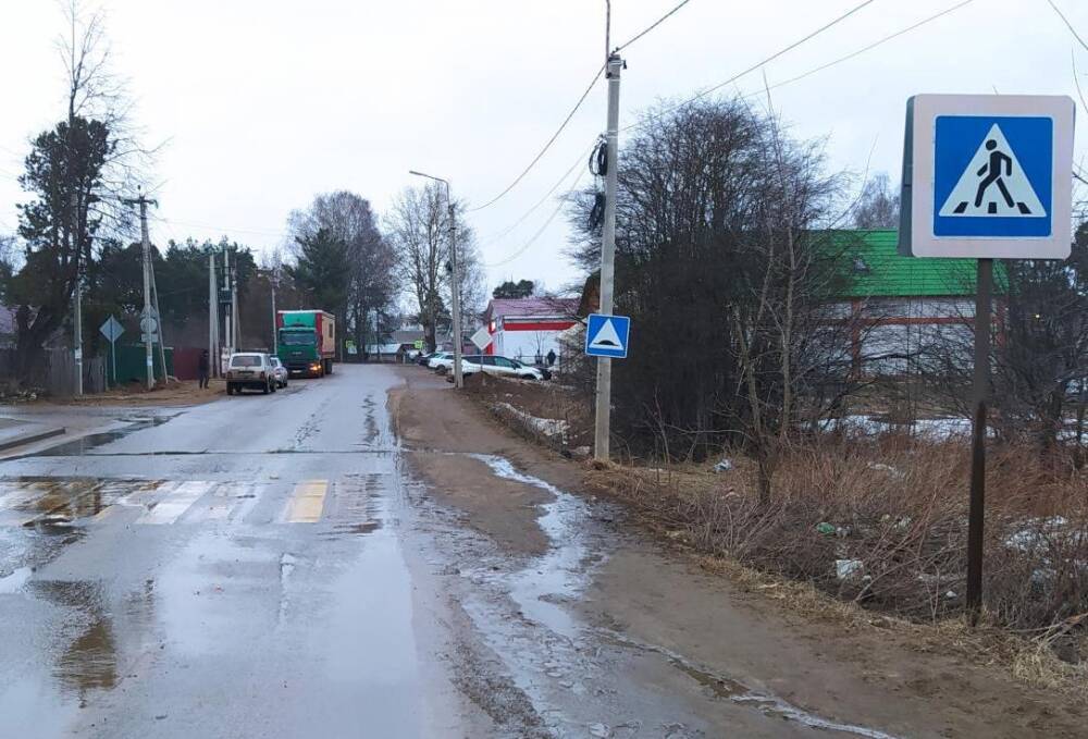 В Тверской области водитель грузовика сбил перебегавшего дорогу ребенка