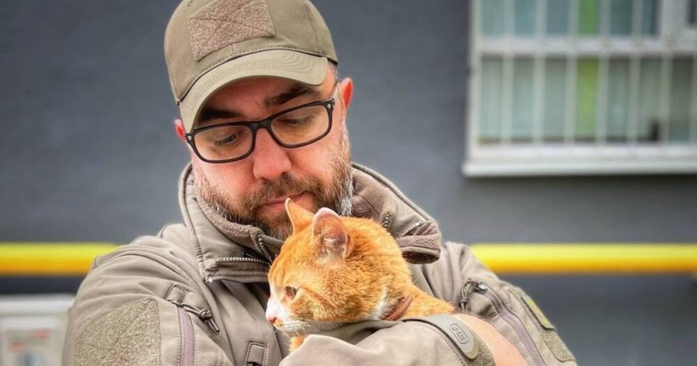 Спасение Бублика: украинский защитник нашел пропавшего кота на руинах дома в Ирпене (видео)
