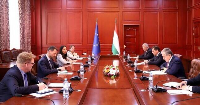 Министр иностранных дел Таджикистана встретился со Специальным представителем Европейского Союза по Афганистану