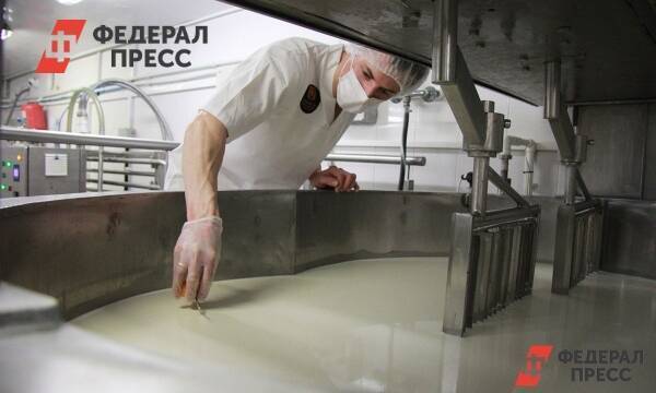 Калининградская сыроварня в семь раз увеличит скорость производства в условиях санкций
