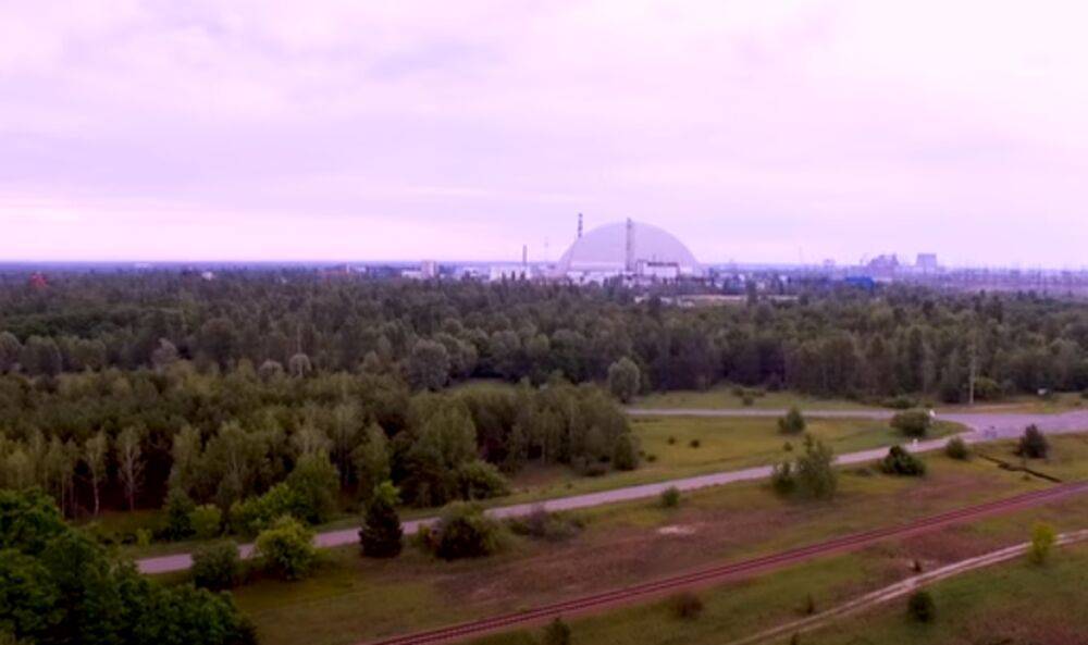 Они вернулись: в Чернобыльском заповеднике впервые после деоккупации засняли редчайших обитателей - яркие фото