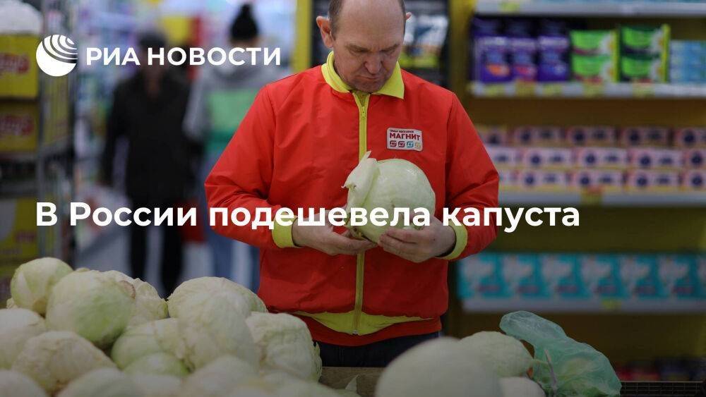 Росстат: в России с 30 апреля по 6 мая капуста в среднем подешевела на 3,88%
