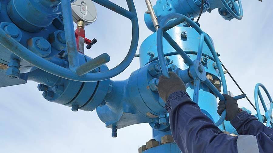 В ФРГ заявили о неготовности страны к полному эмбарго на газ из России