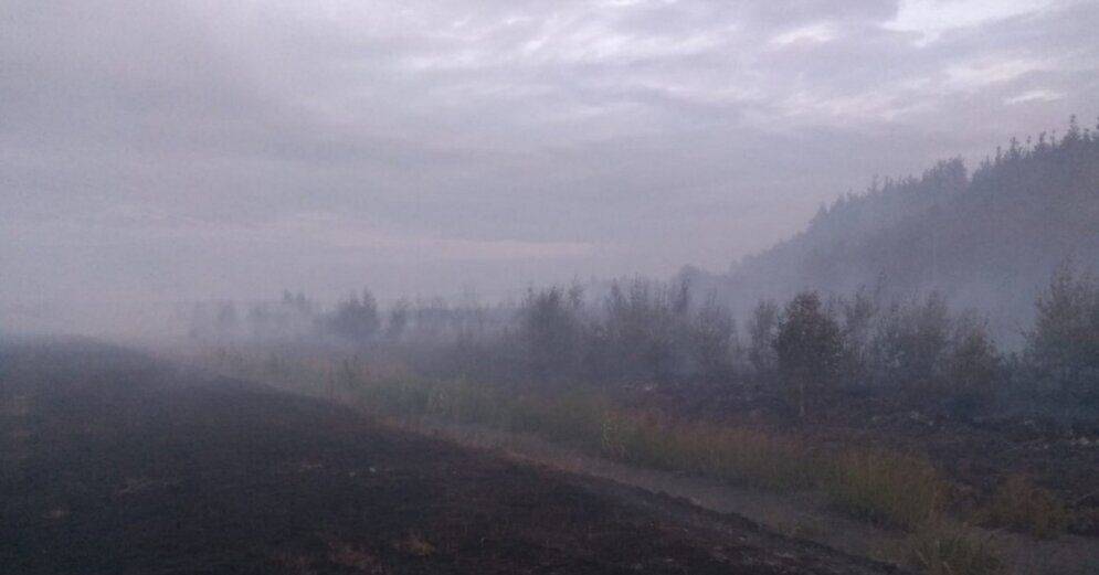 С начала года в Латвии зарегистрировано уже 160 лесных пожаров