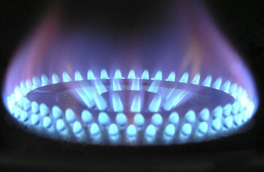 СМИ: ЕК планирует установить верхний предел цены на газ в случае прекращения поставок из РФ