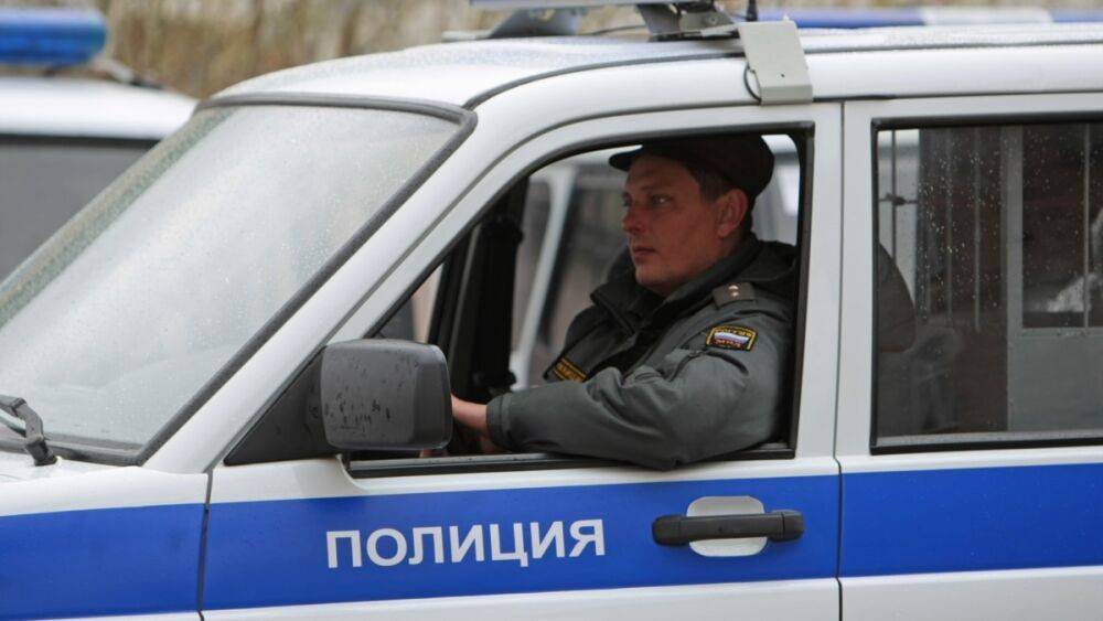 В Петербурге задержана участница антивоенной акции в одном из парков