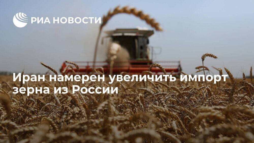 Посол Ирана в Москве Джалили сообщил о намерении страны увеличить импорт зерна из России
